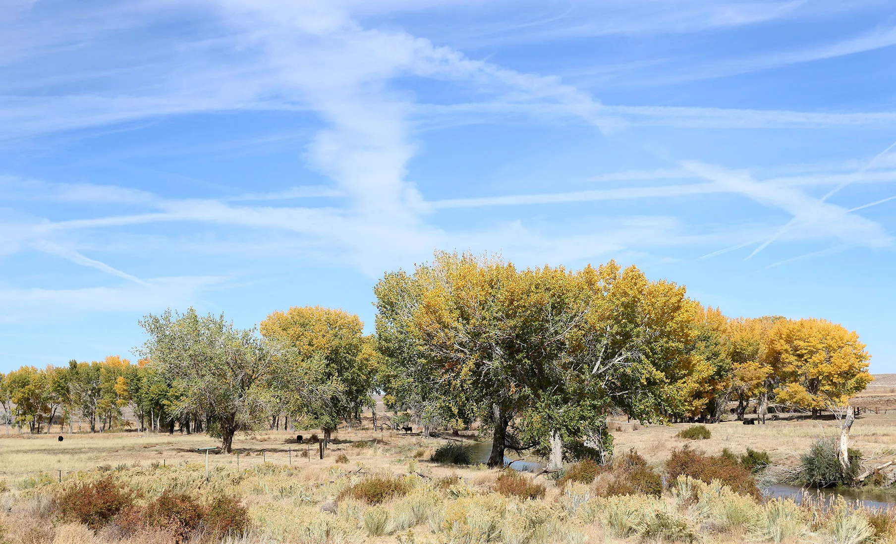 Walker River Campground