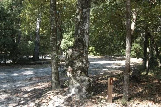 O'Leno State Park Loop Mag1