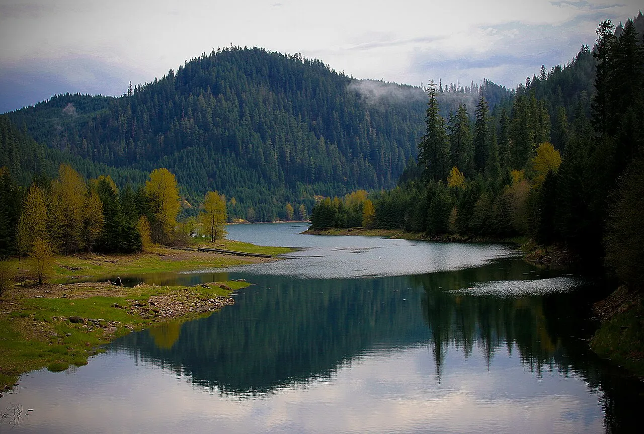 Lookout Campground