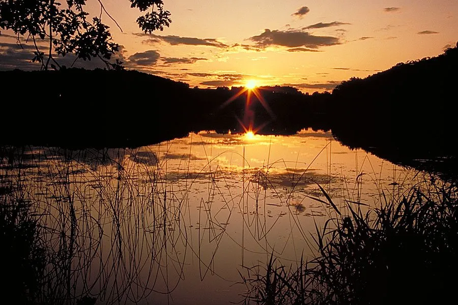 Lake Lida Campground