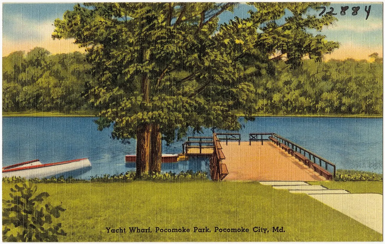 Pocomoke River State Park
