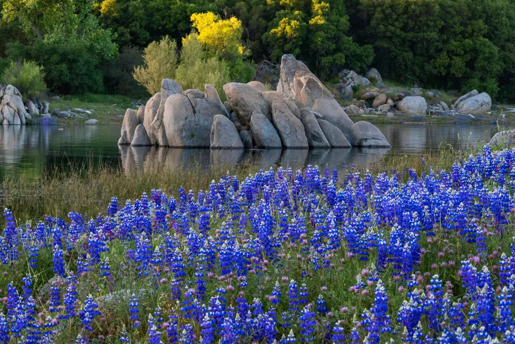 Peninsula Campground