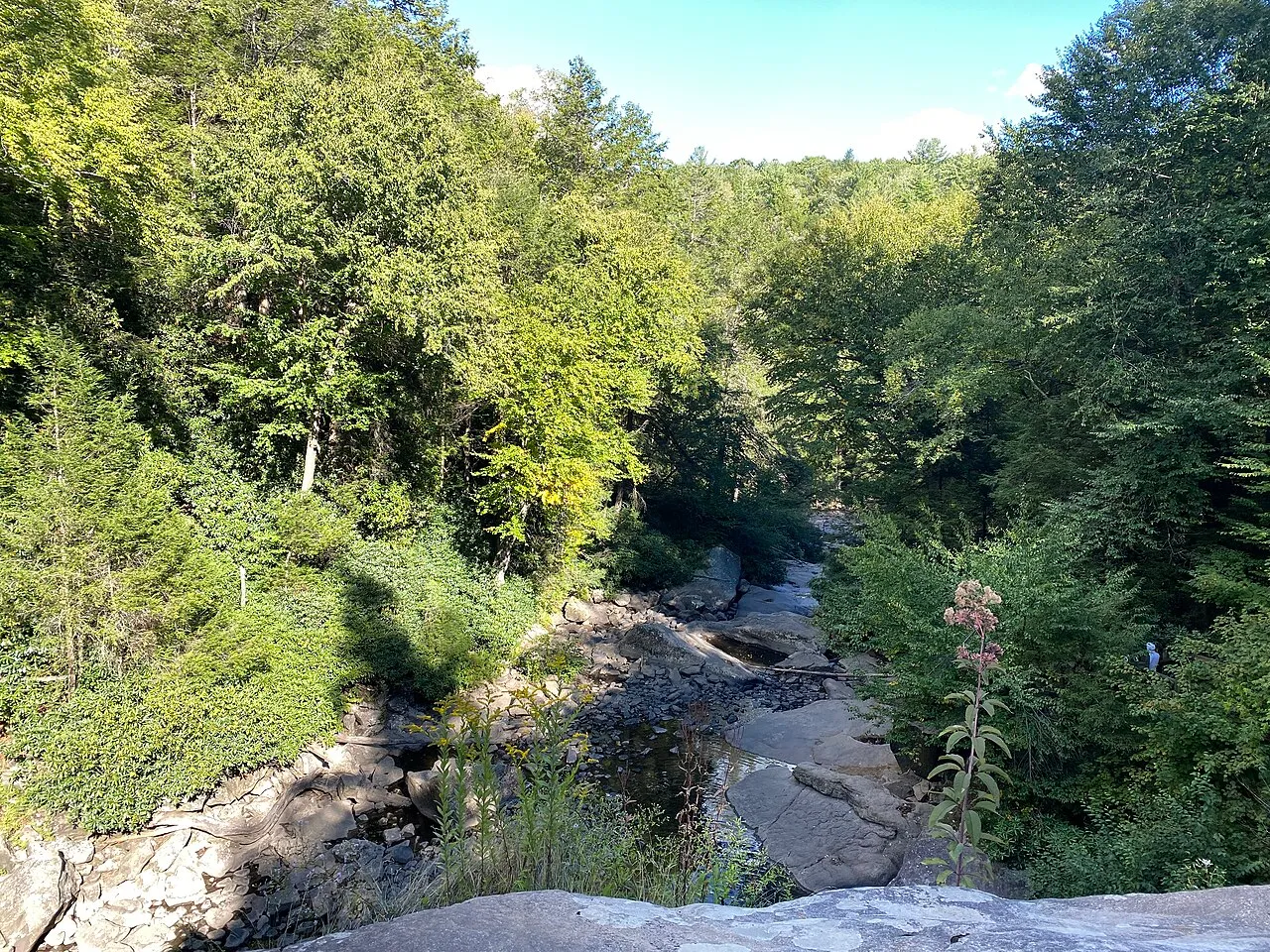 Swallow Falls State Park
