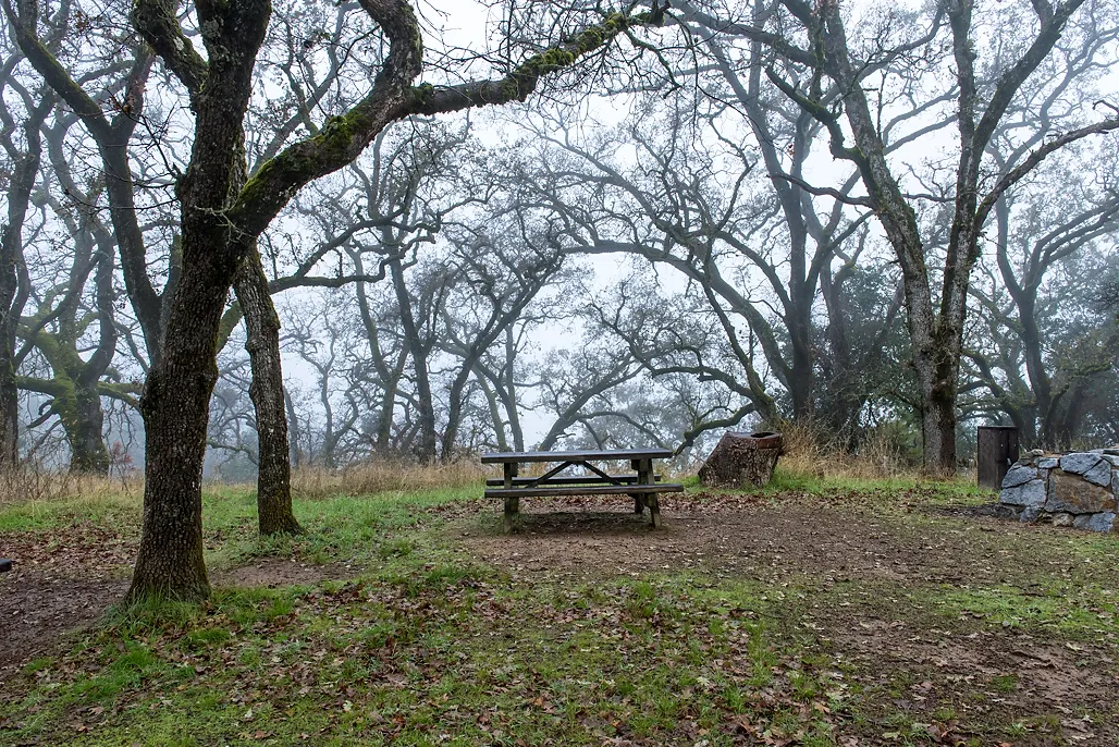 Oak Point Campground