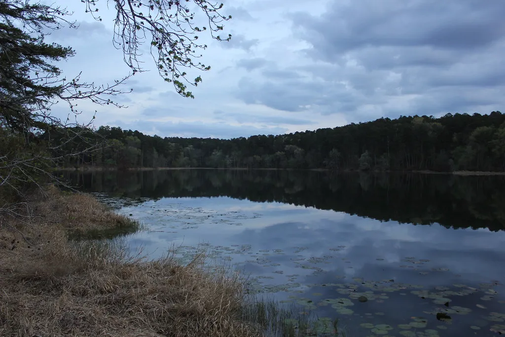 Daingerfield State Park
