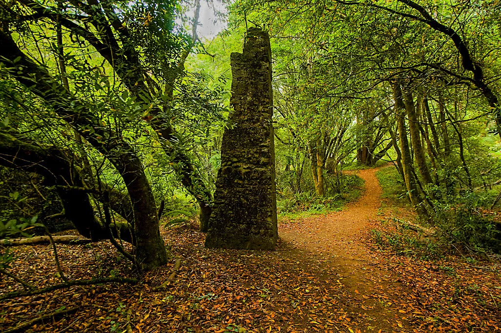 Samuel P. Taylor State Park Campground