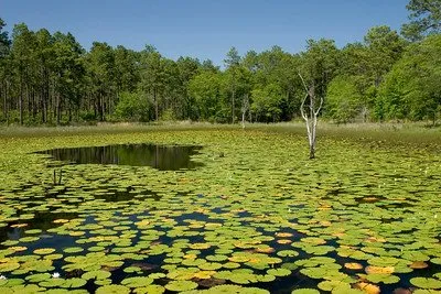 Seminole State Park