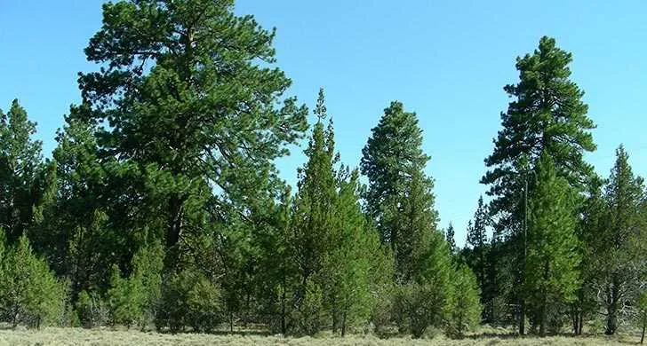 Prineville Reservoir State Park