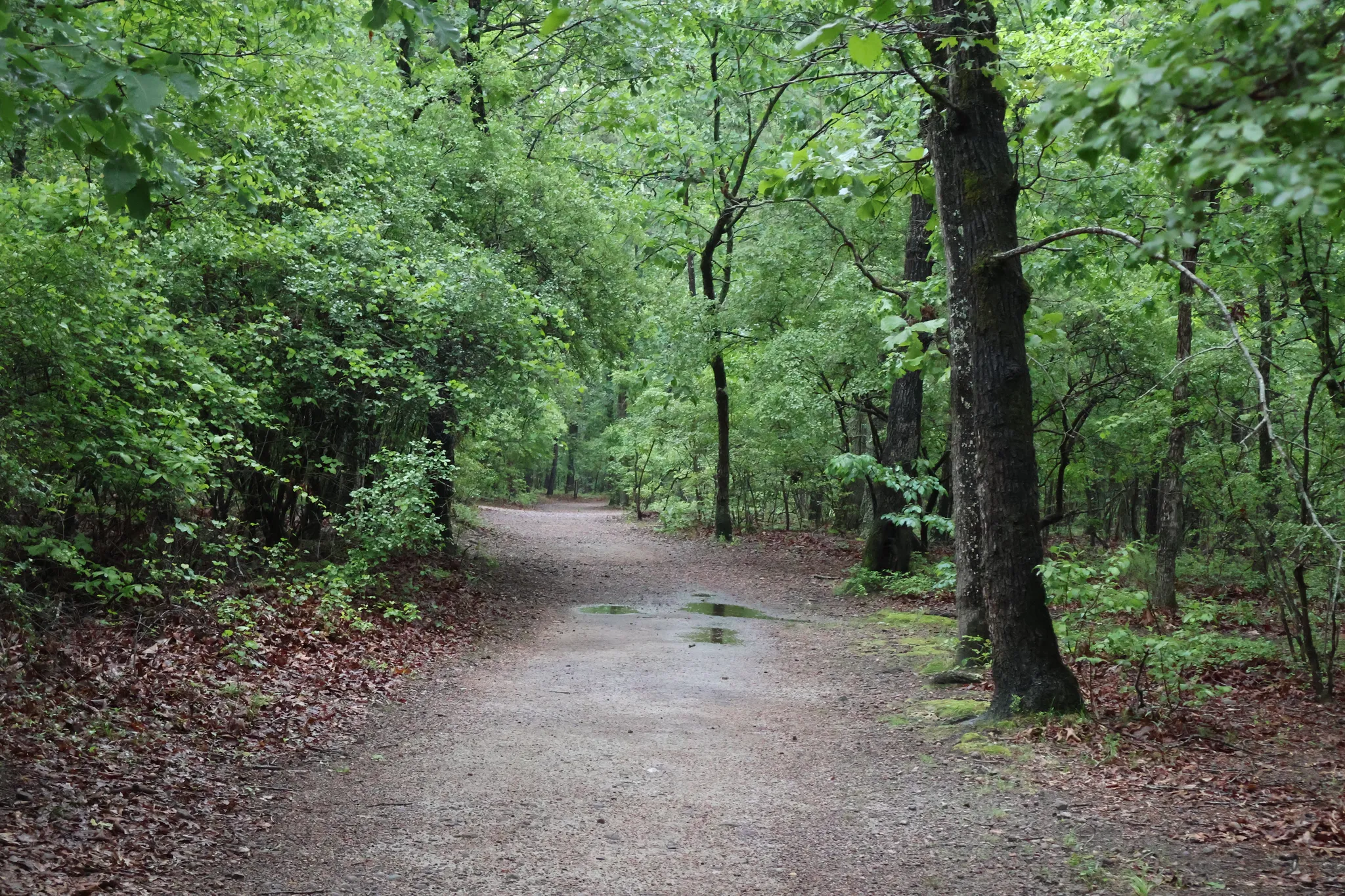Raven Rock State Park