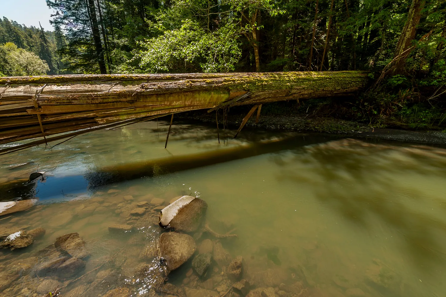 River Campground