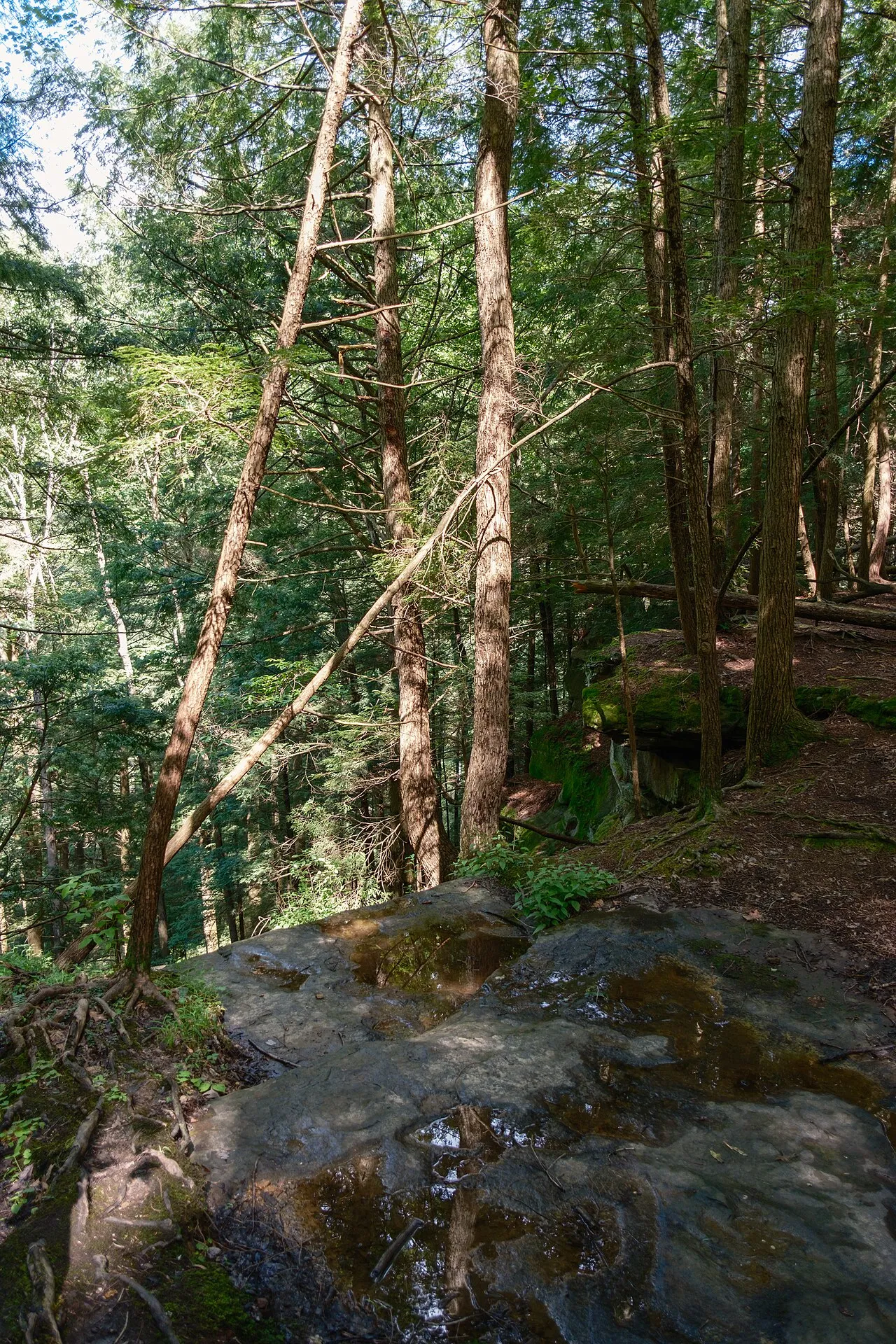 Hocking Hills Youth Group Campground