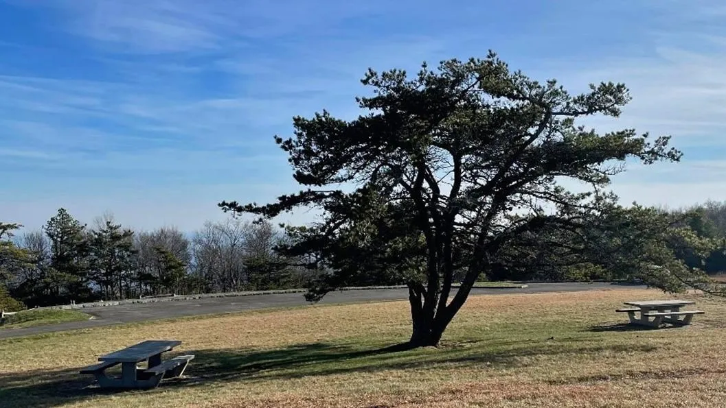 Doughton Park Campground