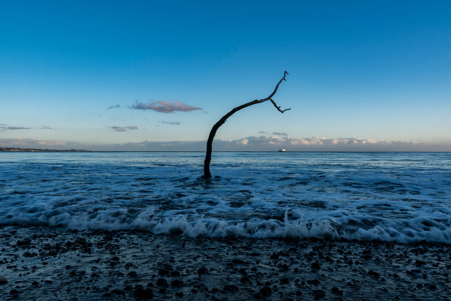 New Brighton State Beach Group Campground