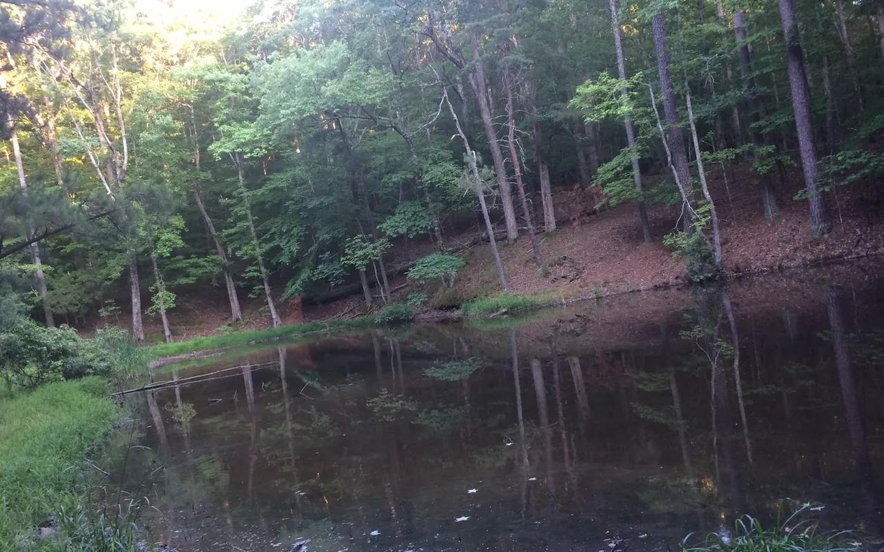 William B. Umstead State Park
