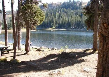 Oregon Campground