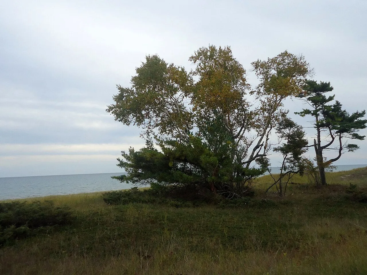 Kohler-Andrae State Park