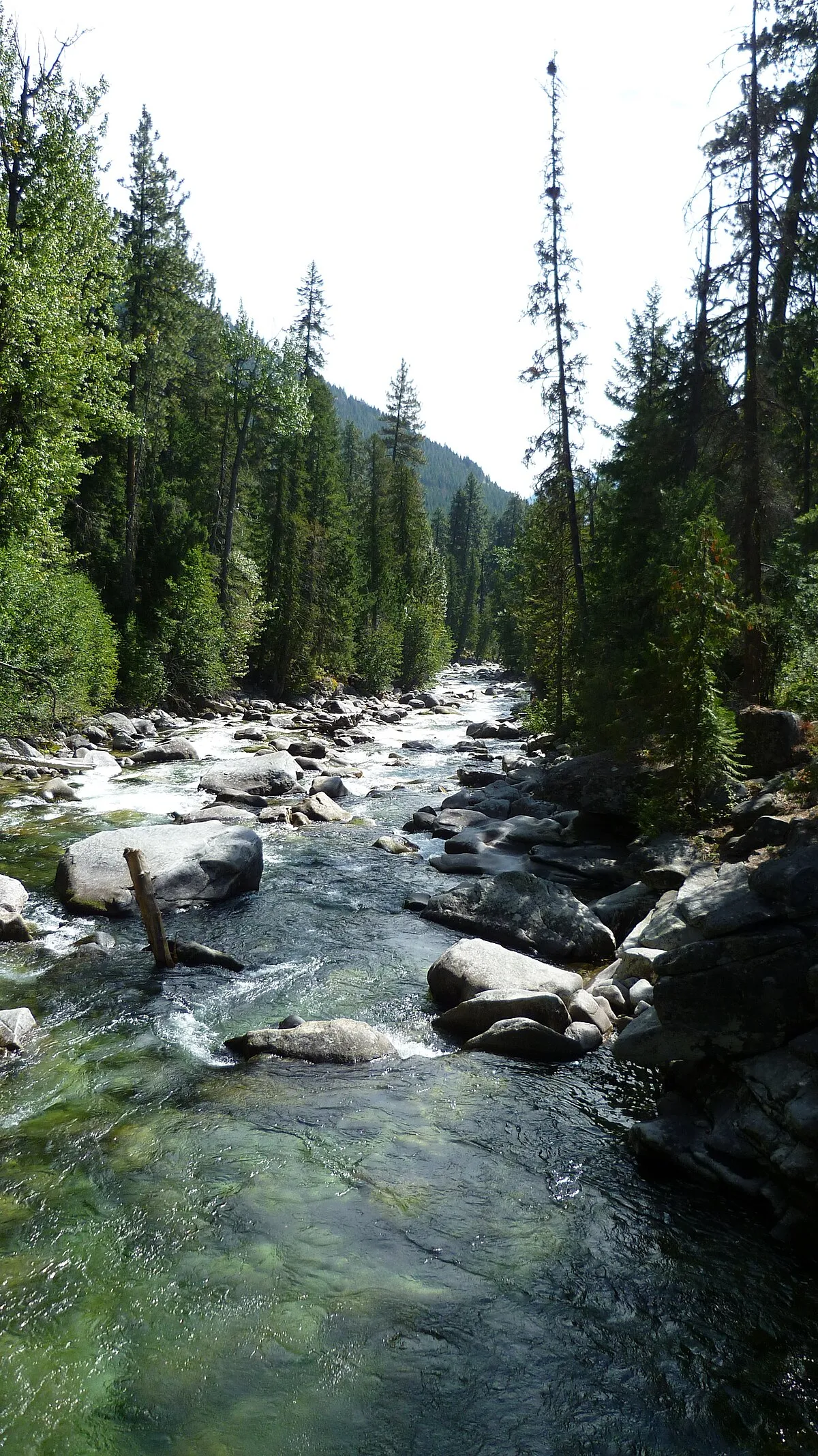 Fox Creek Campground
