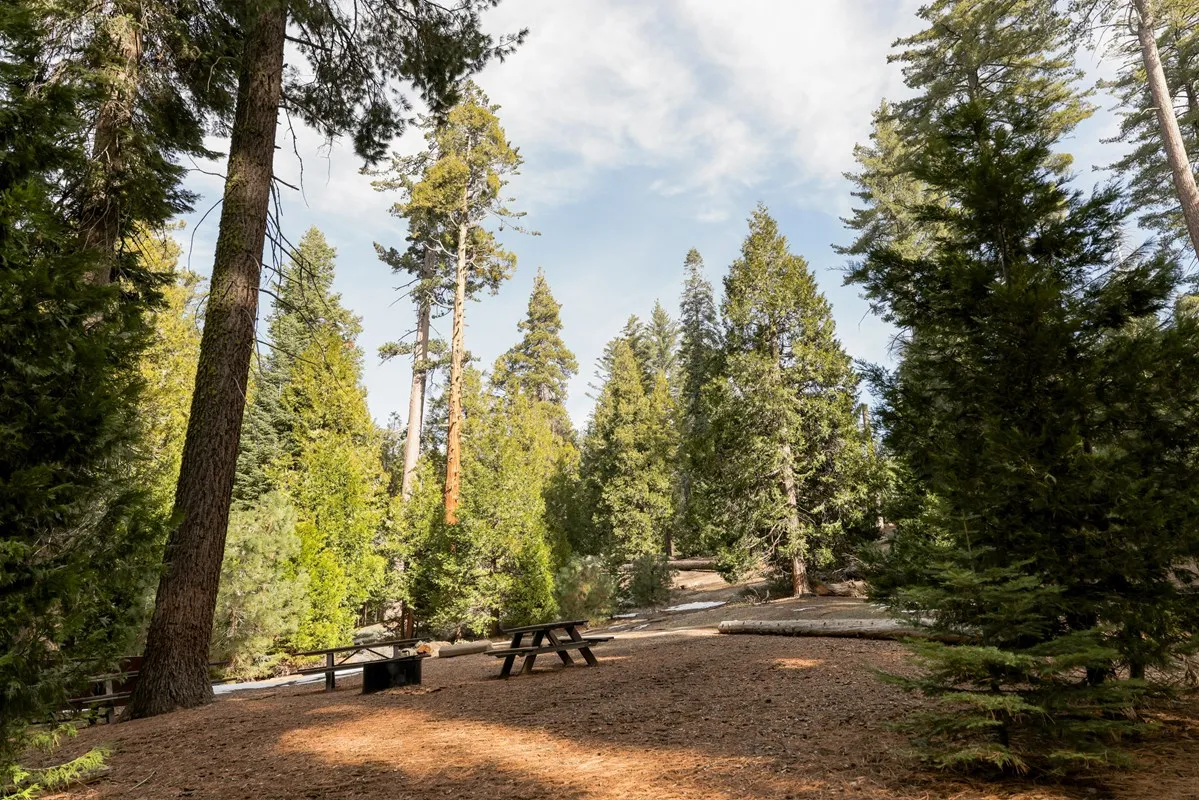 Crystal Springs Campground Mid-Sized Group Sites
