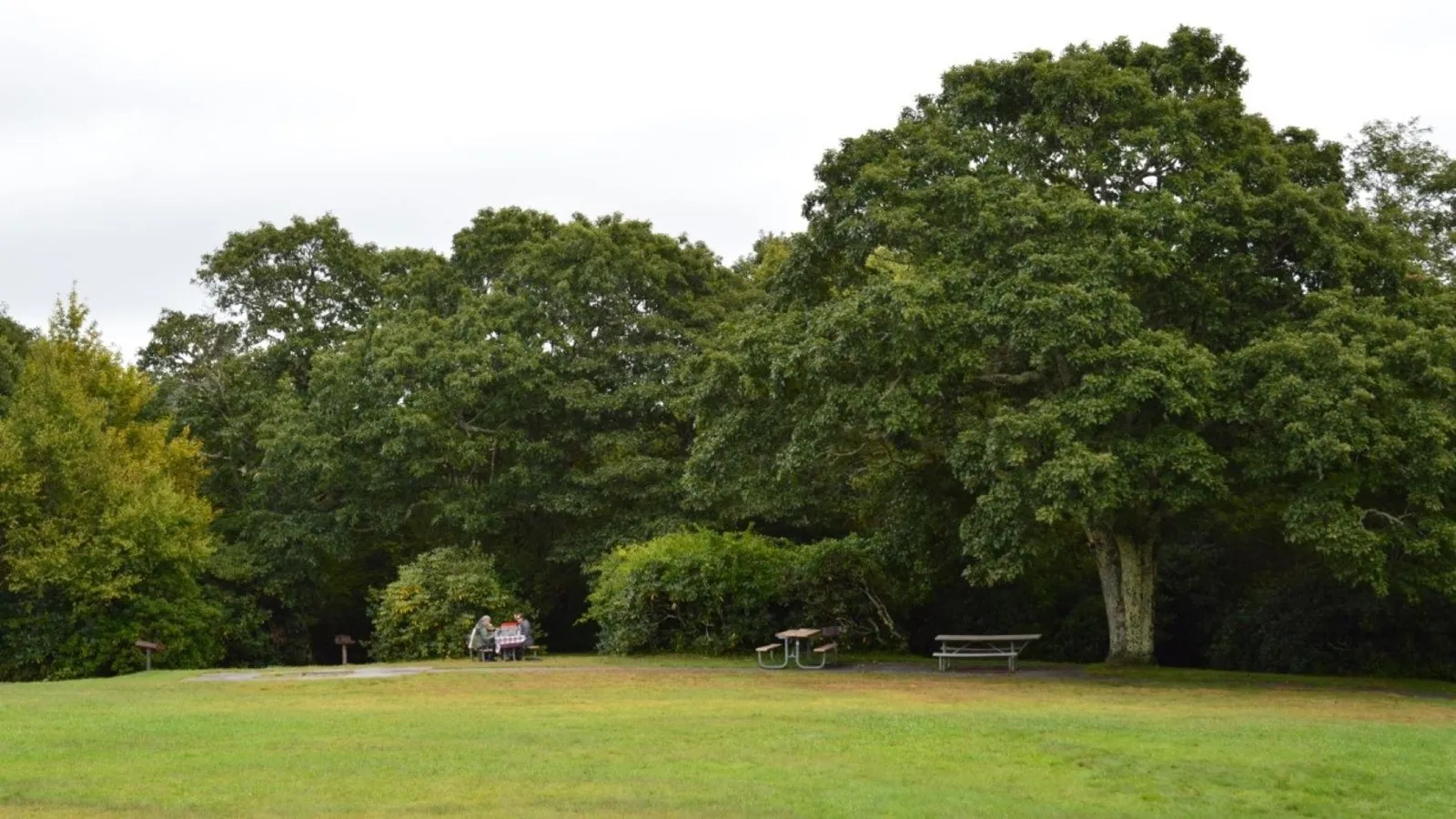 Mount Pisgah Campground