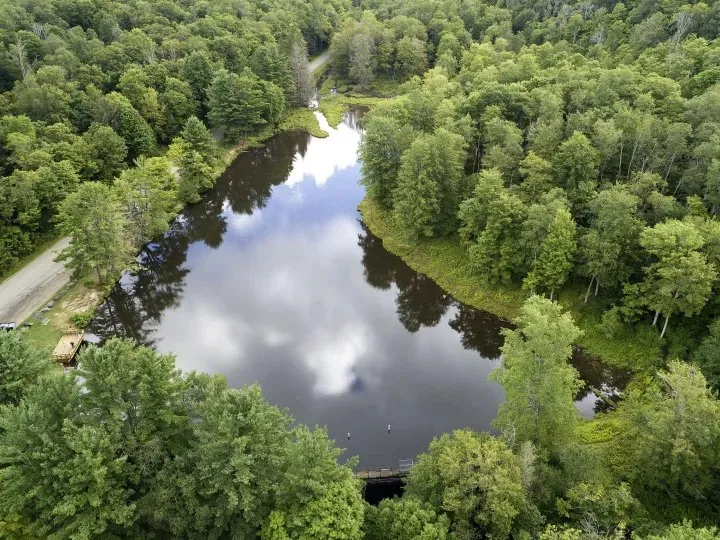 Woodland Valley