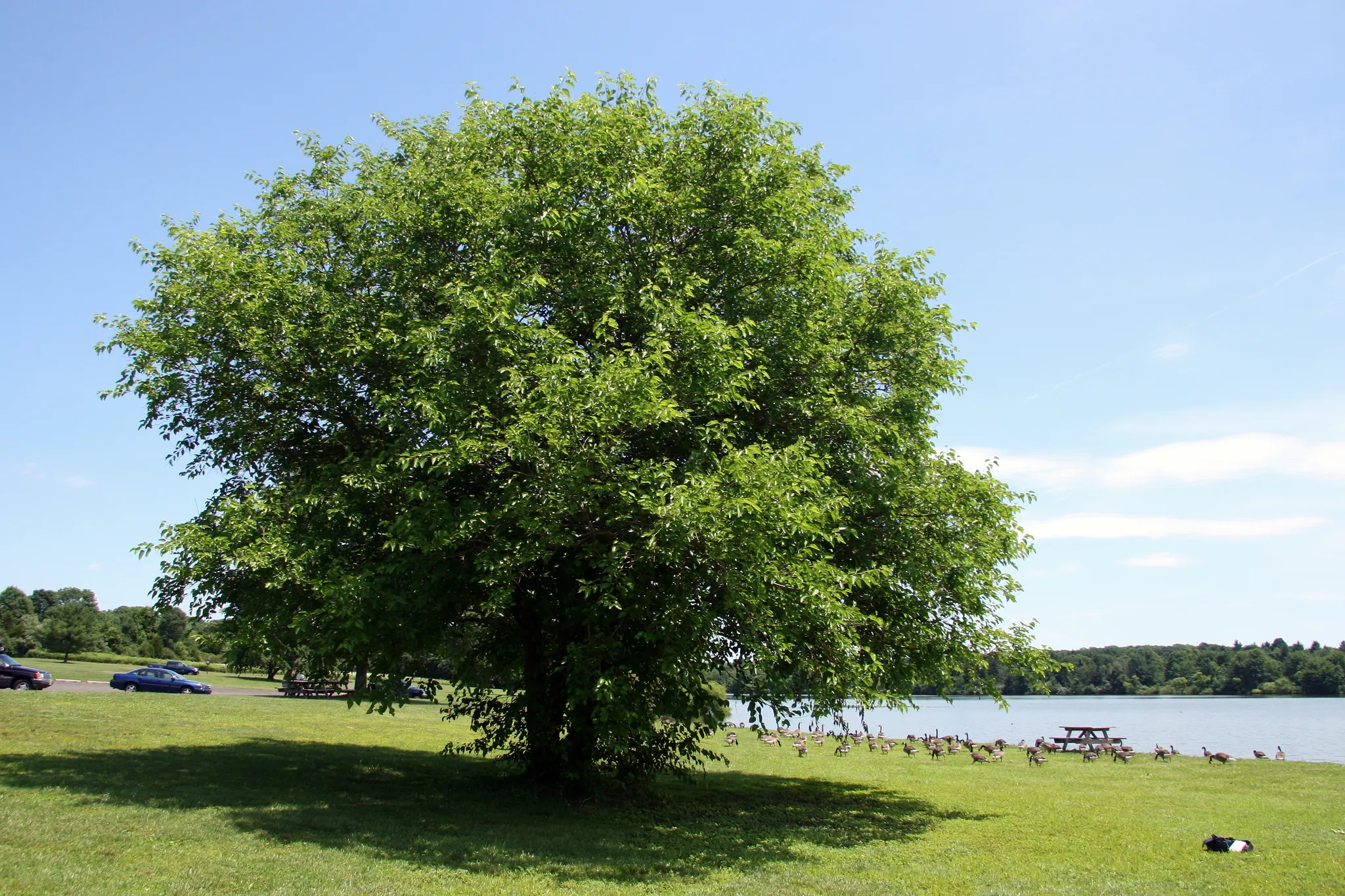 Nockamixon State Park
