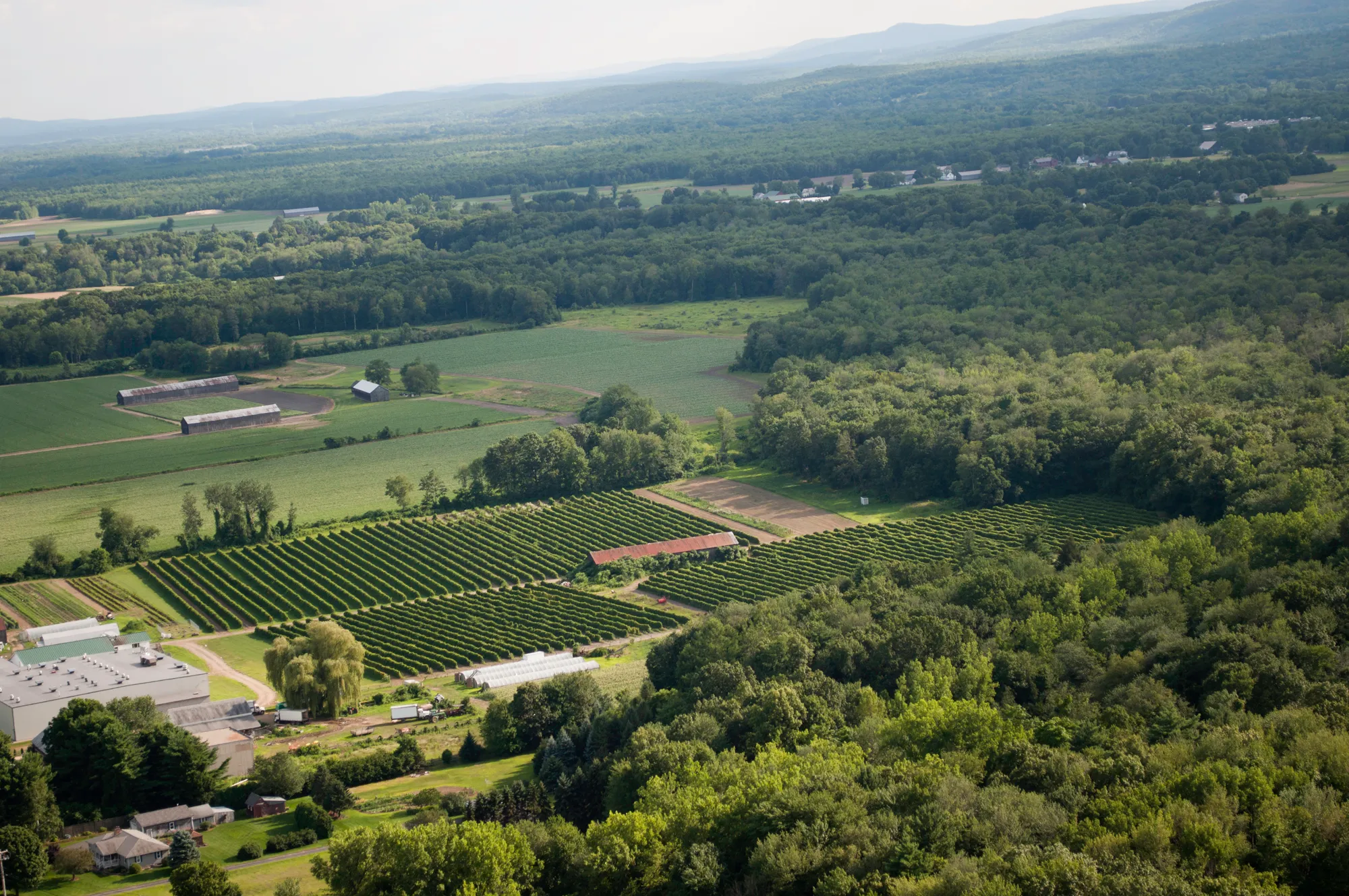 Mt. Sugarloaf State Reservation