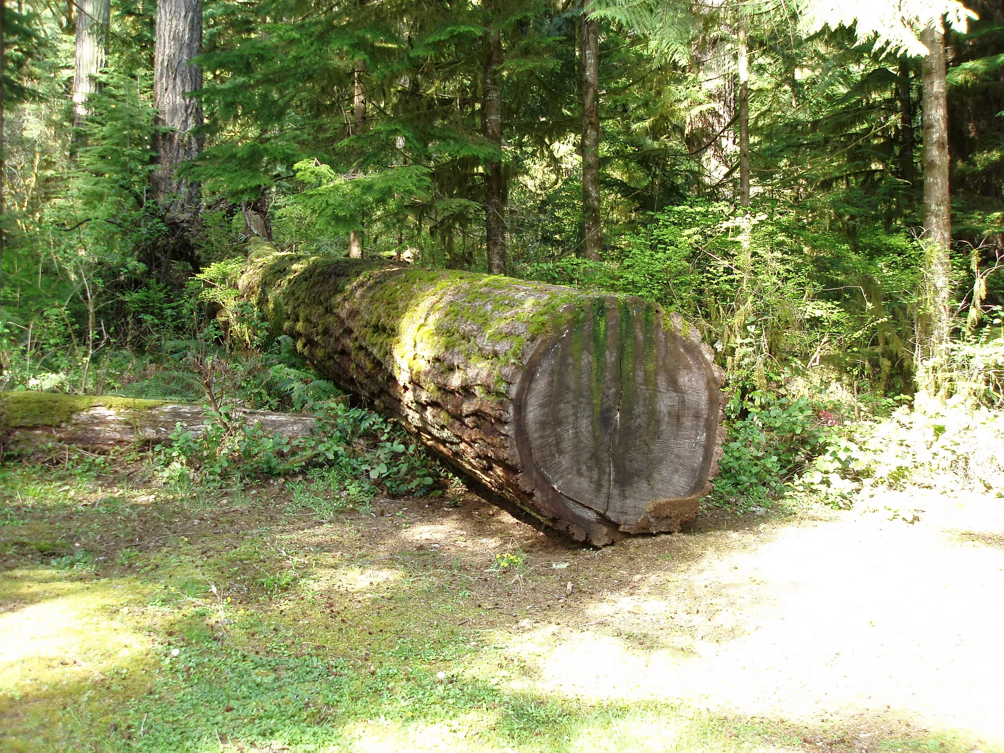 Rockport State Park