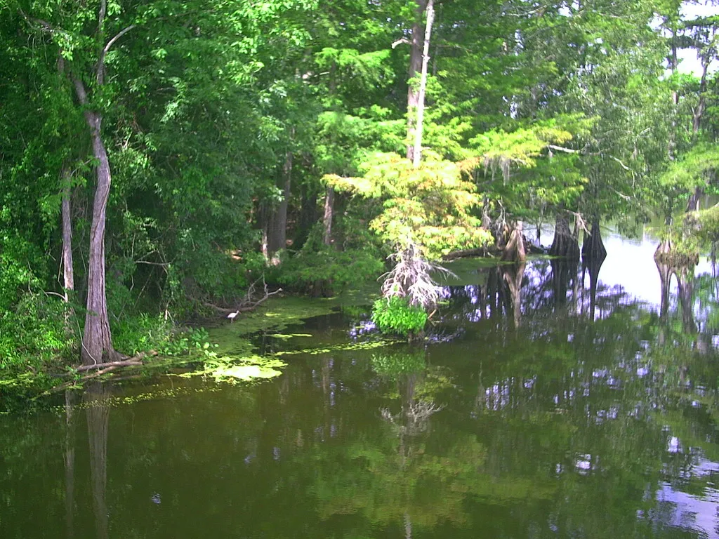 Lake Chicot Campground