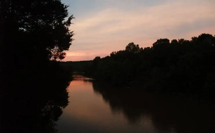 Section 1