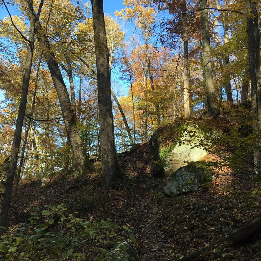 Burr Oak Campground