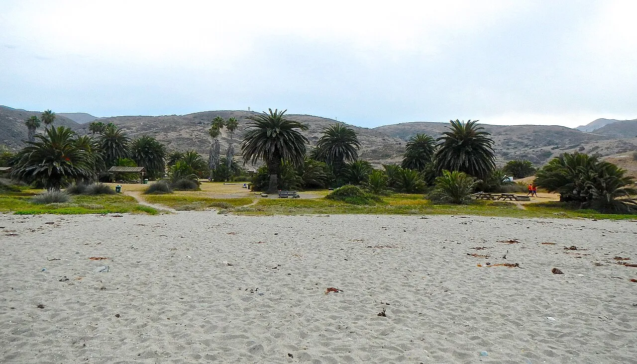 Ringtail Campground
