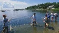 Waquoit Bay Nat. Estuarine Res