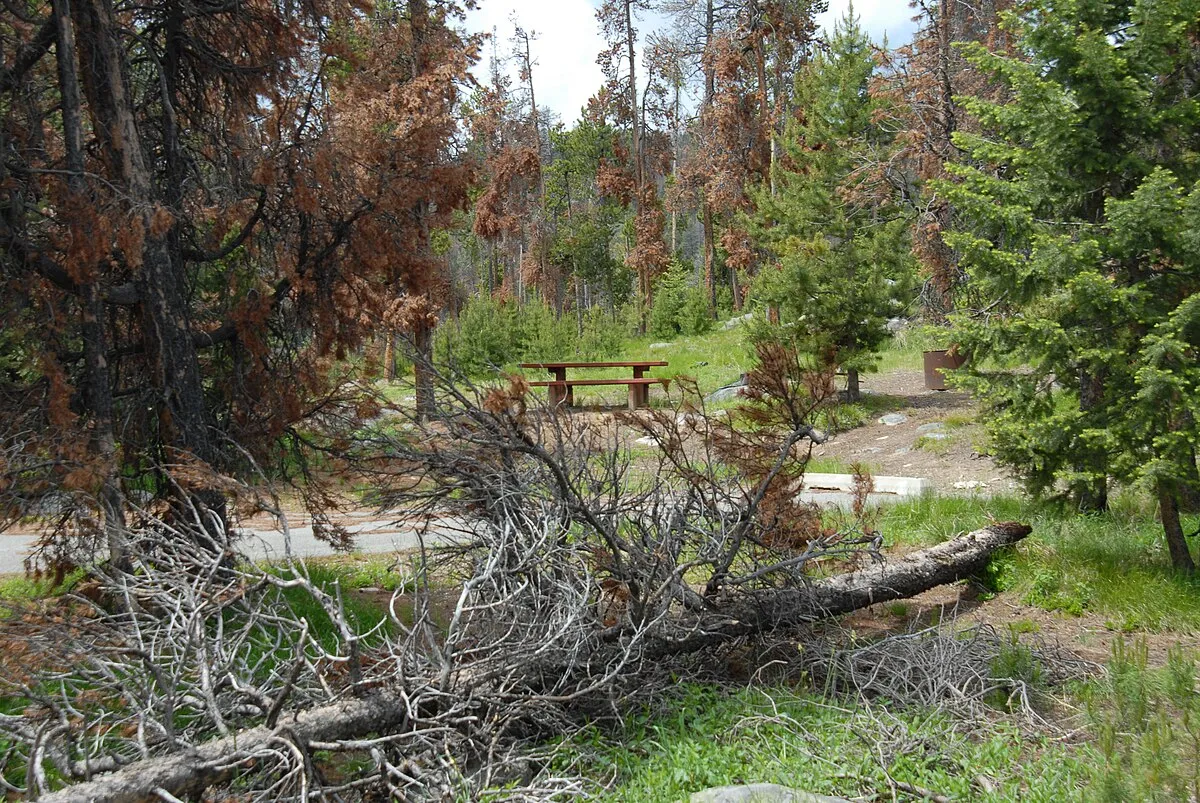 Park Lake Campground