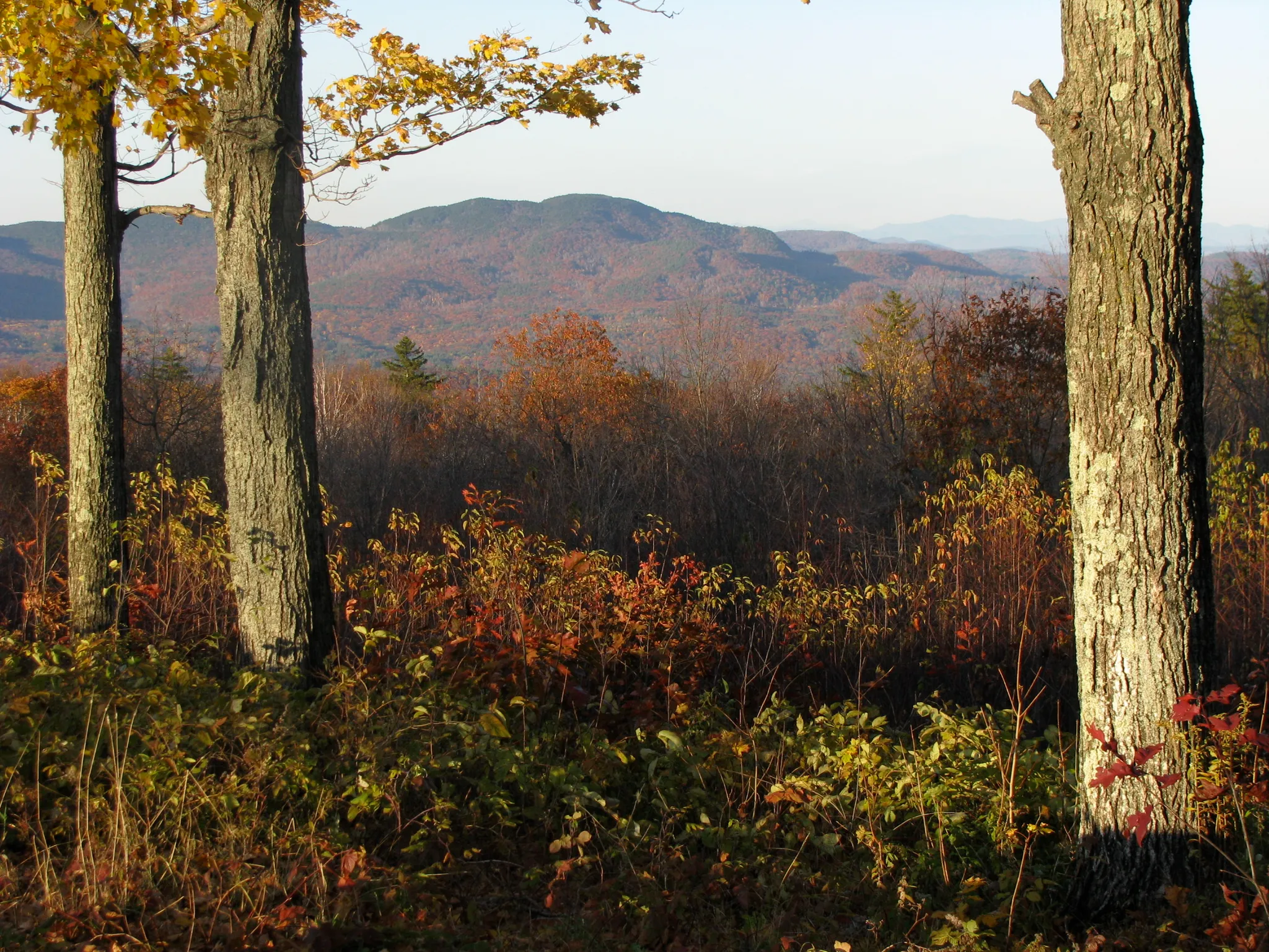 Winslow State Park