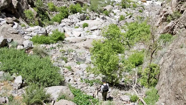 Black Canyon Of The Gunnison North Rim Campground