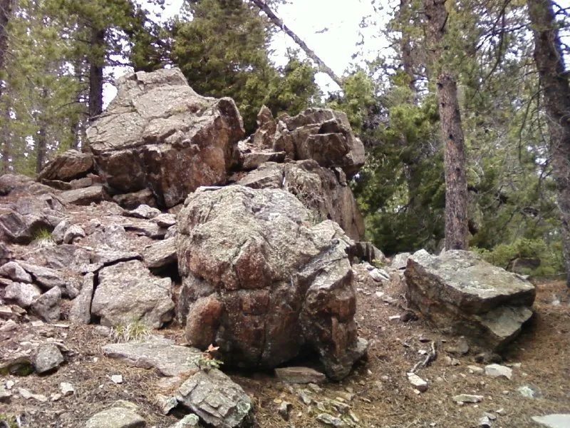 West Magnolia