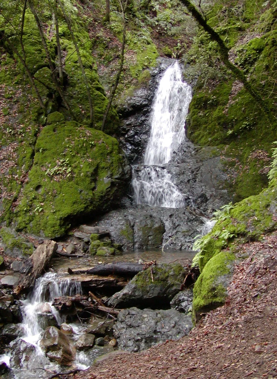 Uvas Canyon