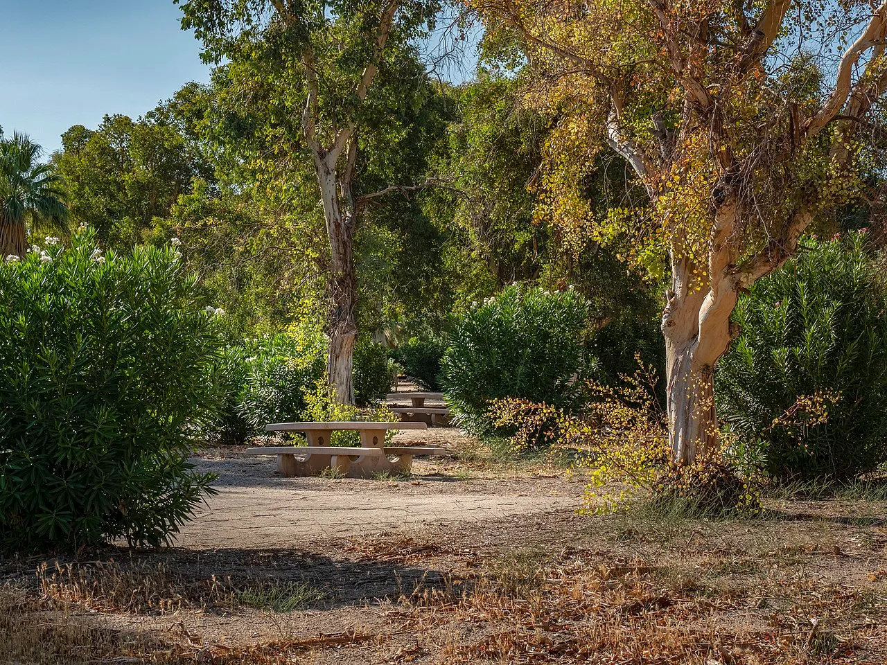 Cottonwood Cove Rv Park