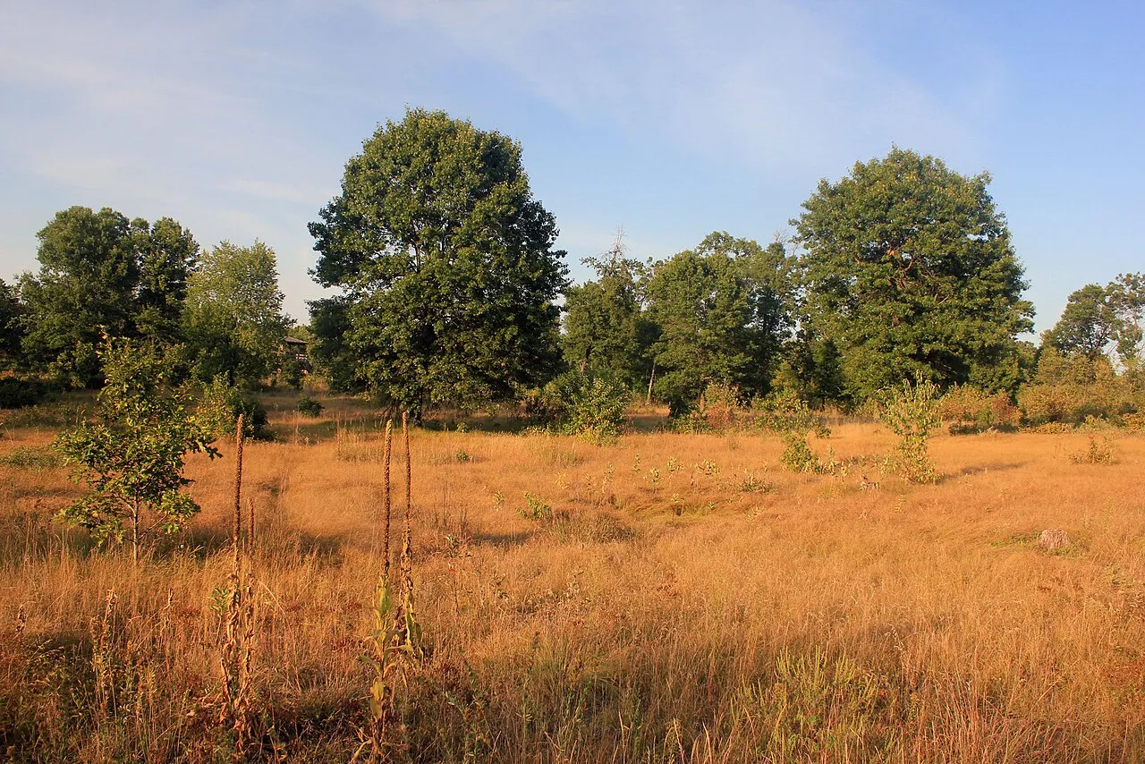Buckhorn State Park