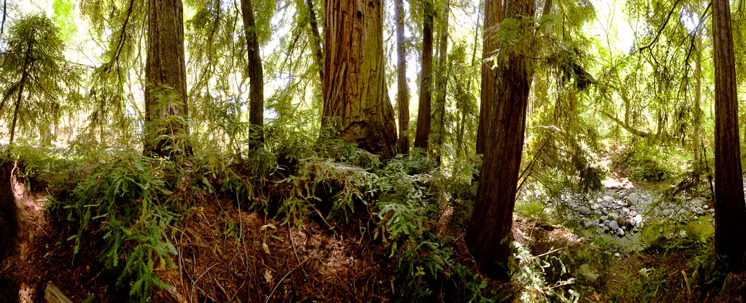 Valley Group Campground