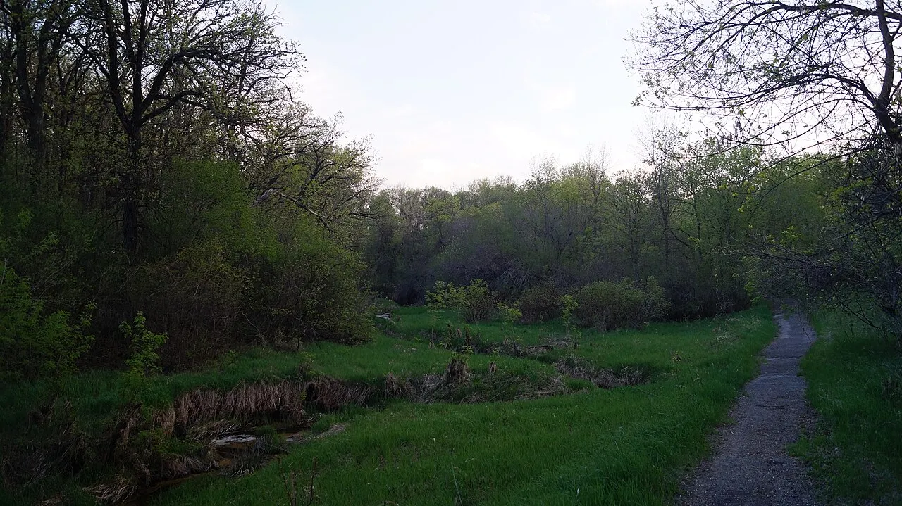 Turtle River Campground