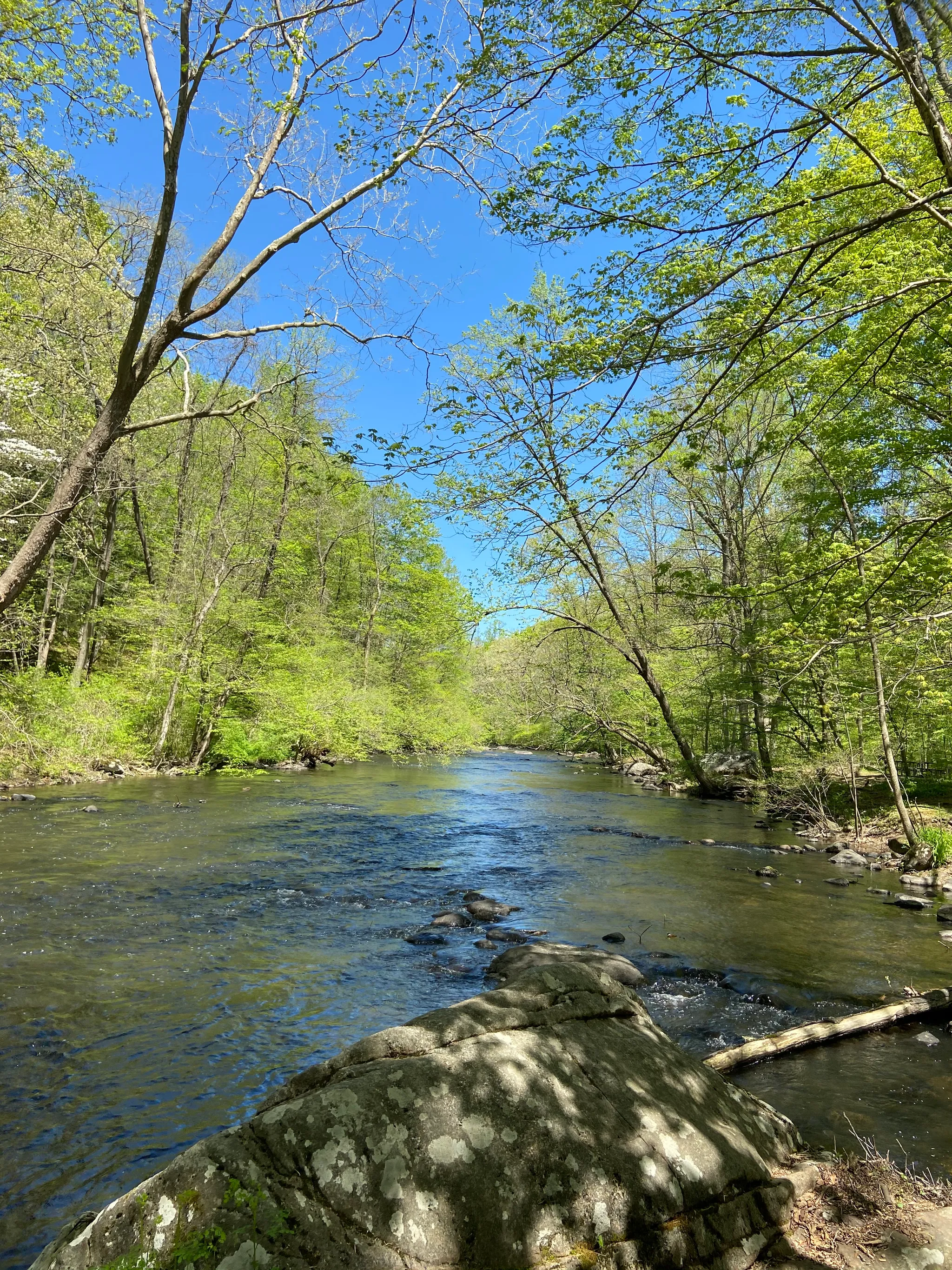 Stephens Campground