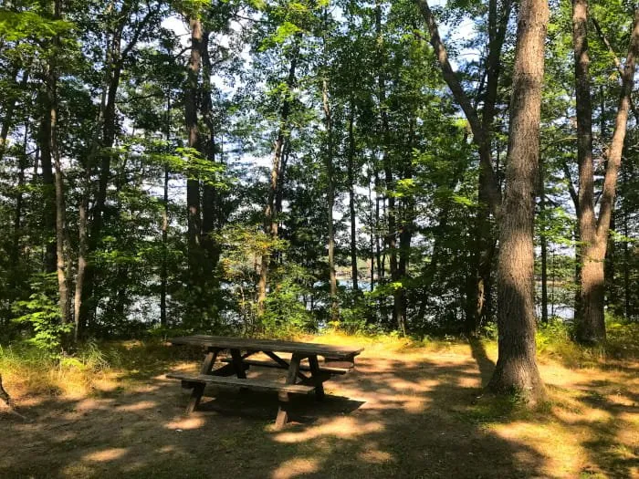 Little Wolf Lake State Forest Campground