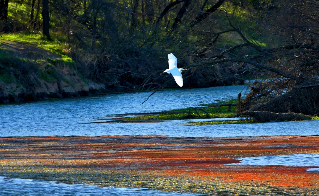 Irvine Finch Access Campground