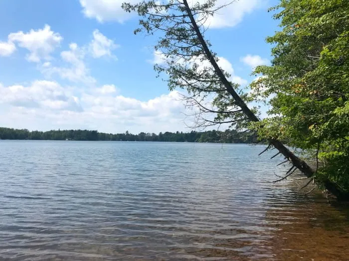 Bass Lake State Forest Campground (Marquette)