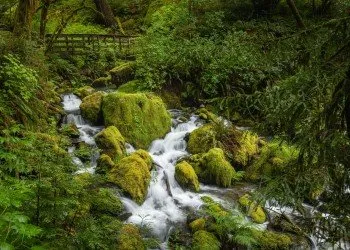 Rock Creek Campground