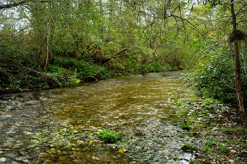 Trail Campground