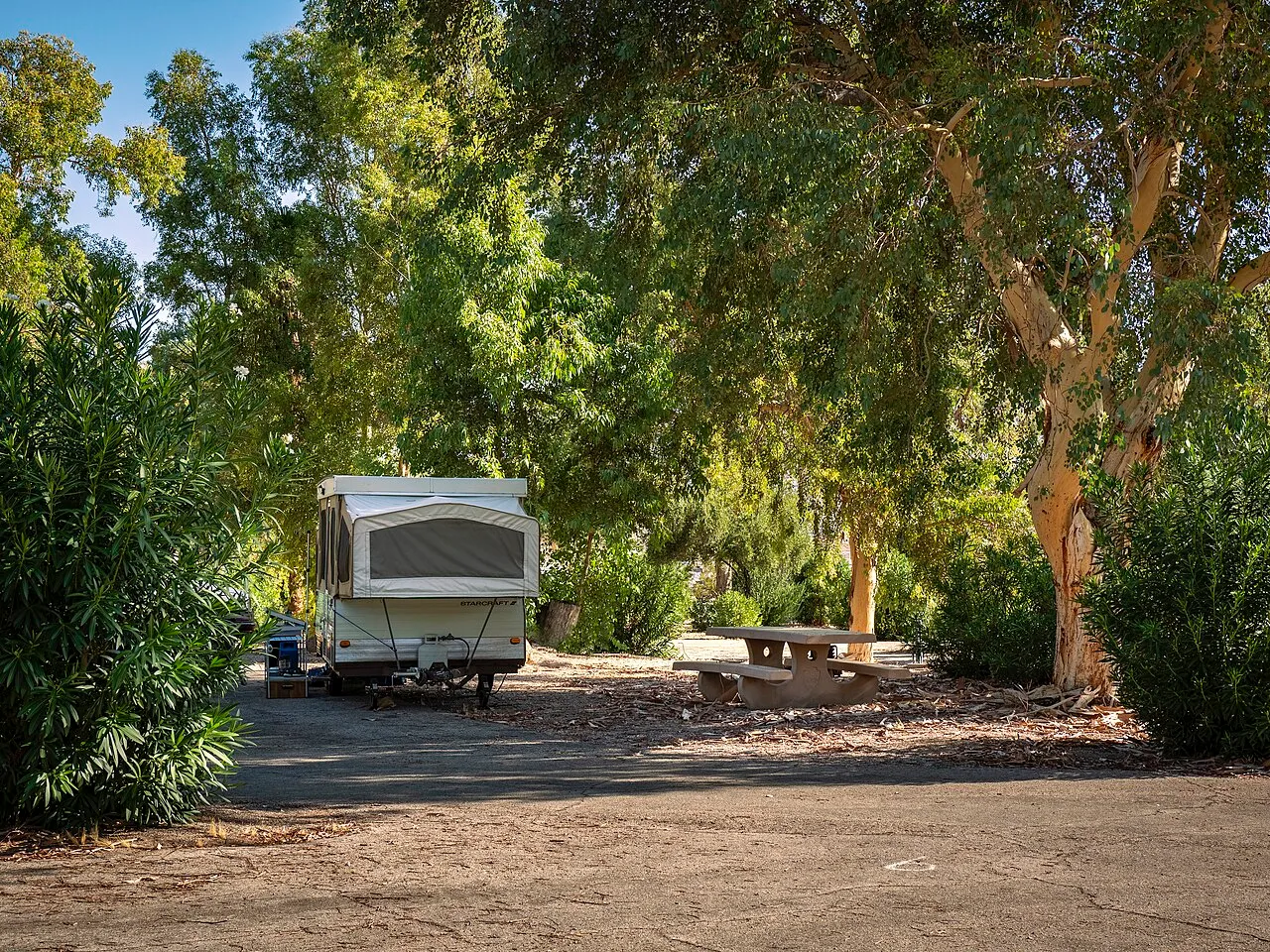 Cottonwood Cove Rv Park