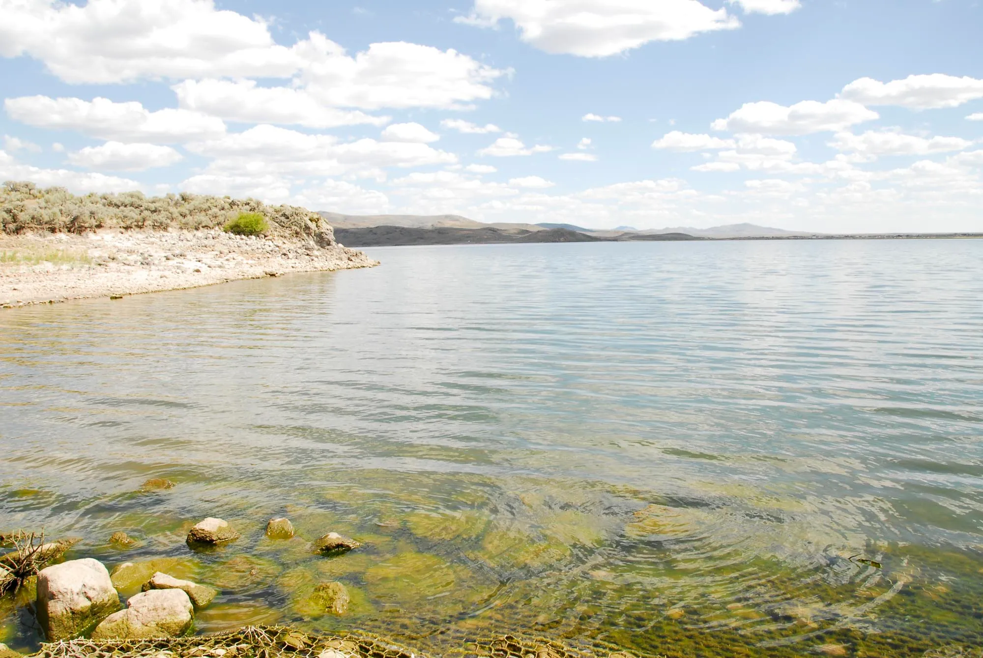 Wild Horse Campground