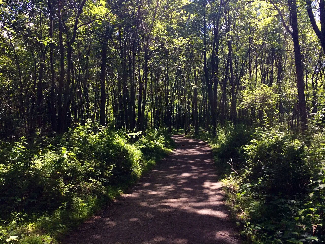 Burke Lake Park Campground